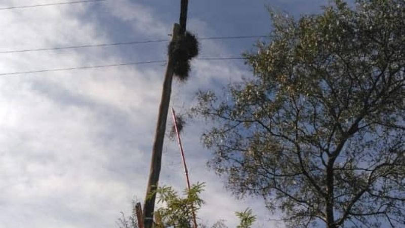 Trabajos para mejorar el servicio eléctrico en el interior