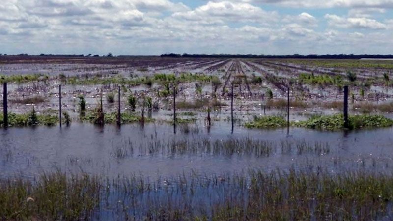 Catamarca se suma a la emergencia agropecuaria declarada por Nación