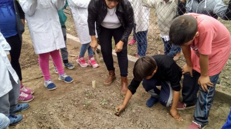 Entregaron plantines hortícolas para autoconsumo