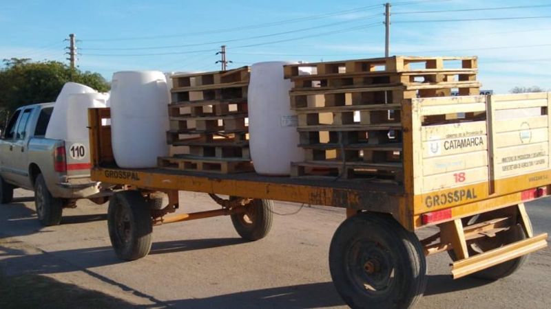 Proyecto Huerta Invernadero en la Escuela Secundaria N°79