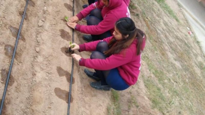 Proyecto Huerta Invernadero en la Escuela Secundaria N°79