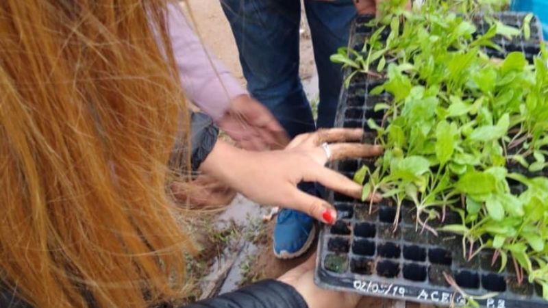 Proyecto Huerta Invernadero en la Escuela Secundaria N°79