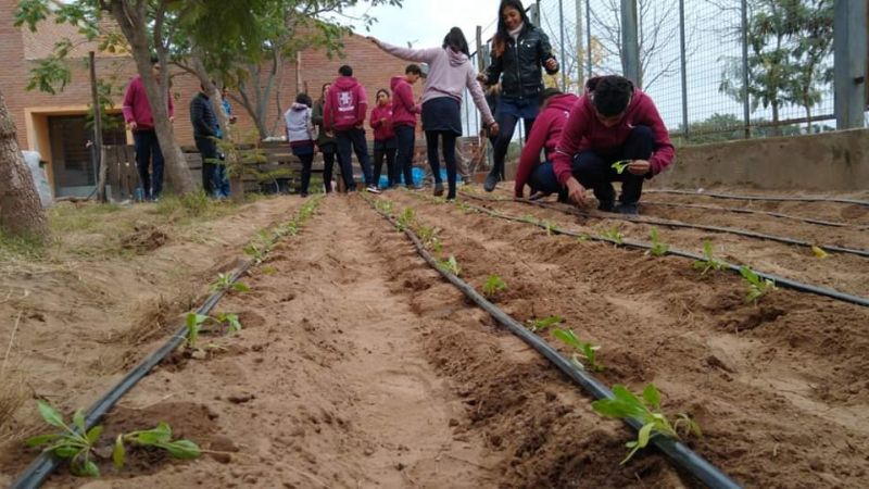 Proyecto Huerta Invernadero en la Escuela Secundaria N°79
