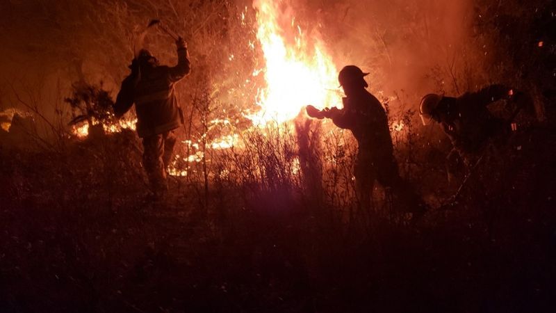 Bomberos Voluntarios trabajaron ocho horas para apagar un incendio
