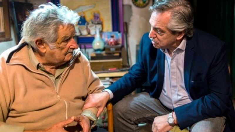 Alberto Fernández: "Estoy dispuesto a competir con Massa en las PASO"