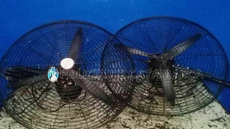 Recuperan ventiladores robados en la escuela Apolo