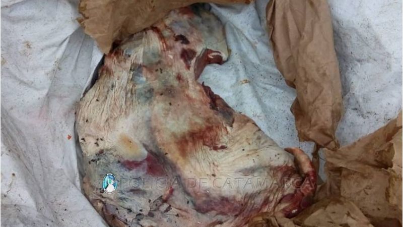 Llevaban en la moto 30 kilos de carne vacuna