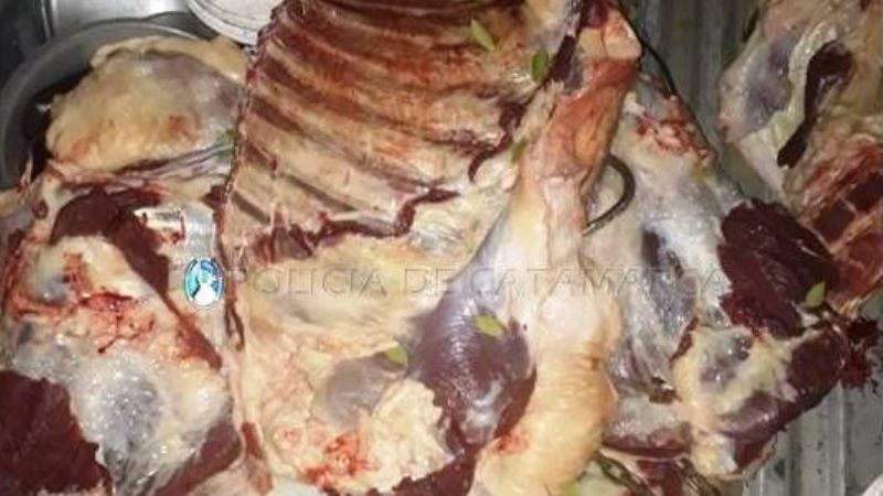 Le robaron una vaca y la encontró faenada