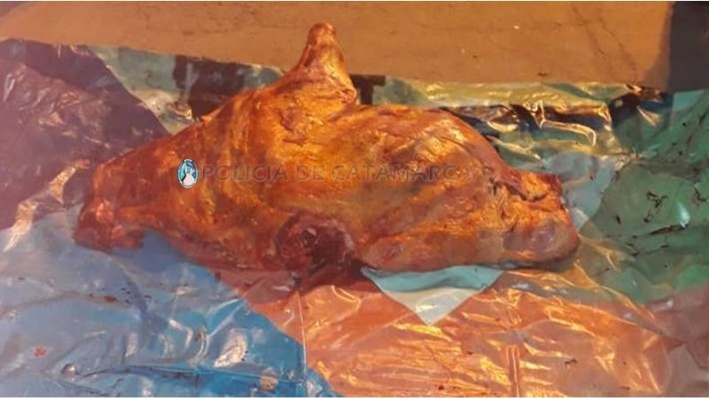 Intentó escapar de policías con 50 kilos de carne en un puesto caminero