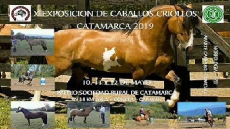 X Exposición de Caballos Criollos Catamarca 2019