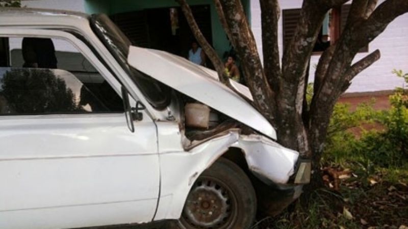 Utilitario chocó contra un árbol