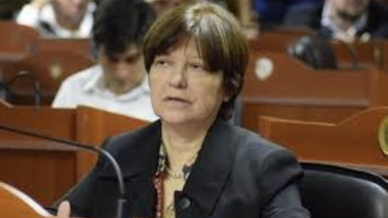 “Están más preocupados por las ganancias de las empresas que por los usuarios”