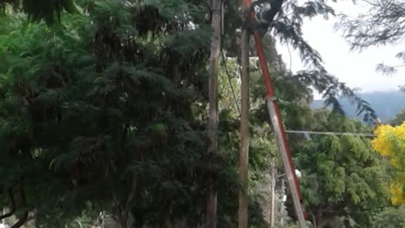 Nuevas líneas para mejorar el servicio energético en el Oeste capitalino