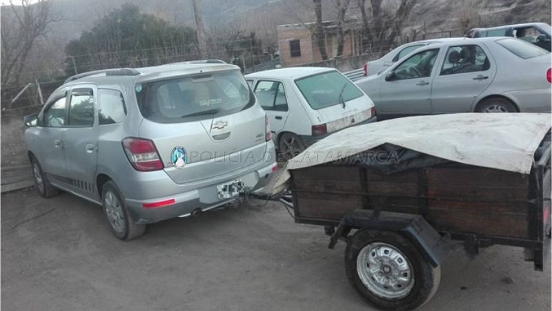 En un carro llevaba dos animales faenados