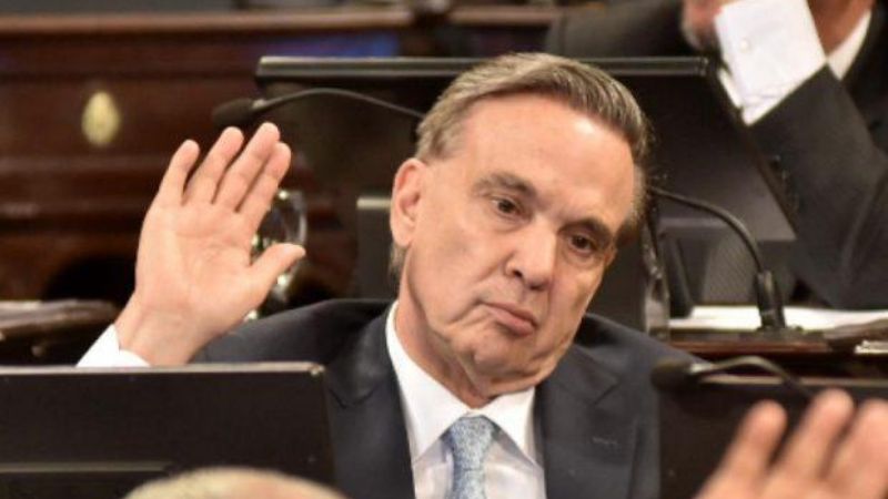 La decisión de Pichetto sorprendió a senadores
