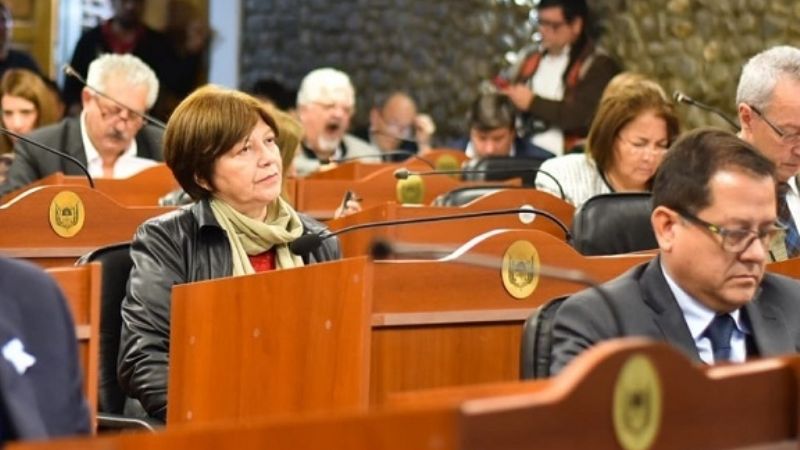 Diputados aprobó adhesión a la Ley Micaela