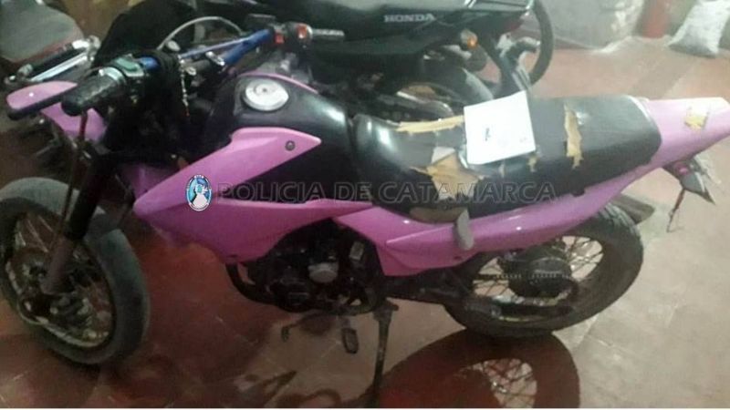 Policías sorprendieron a dos jóvenes robando bolsas de aceitunas