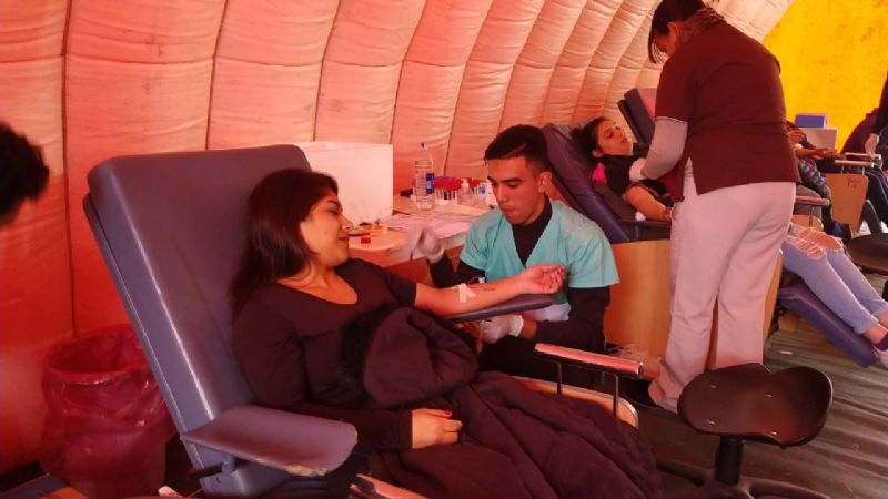 Colecta e inscripción al Registro de Células Madres