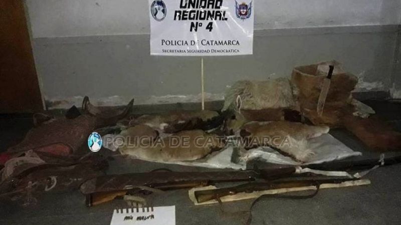 En tres controles, secuestran 370 kilos de carne