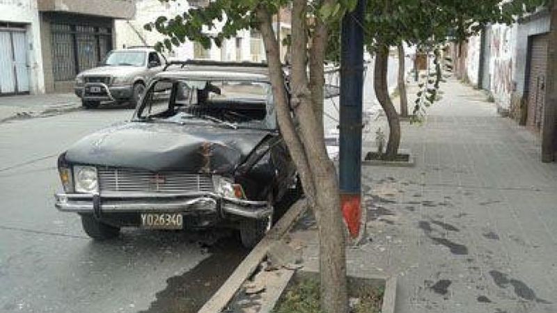Chocó contra un árbol