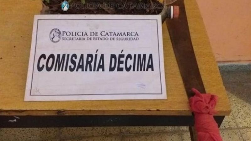 Tras un desorden de magnitud incautan plantines de marihuana