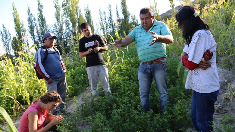 Una feria que invita a descubrir el camino de la agroecología