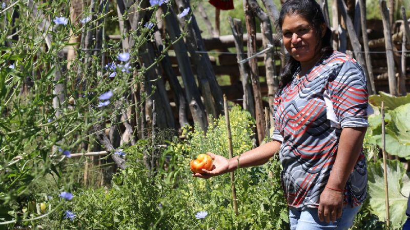 Una feria que invita a descubrir el camino de la agroecología