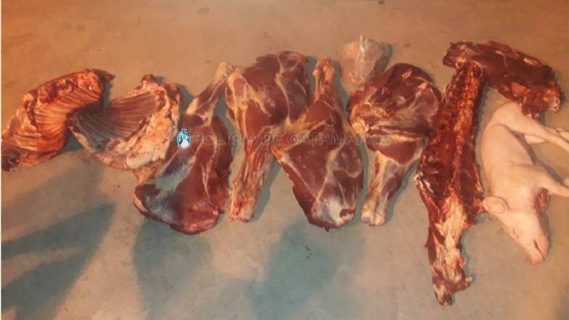 Trasladaba en el baúl más de 100 kilos de carne