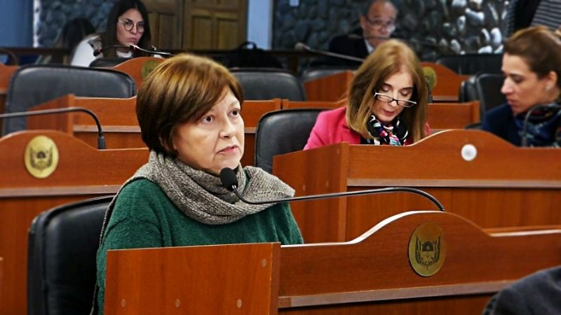 Diputados aprobó instituir el Día Provincial Contra el Trabajo Infantil