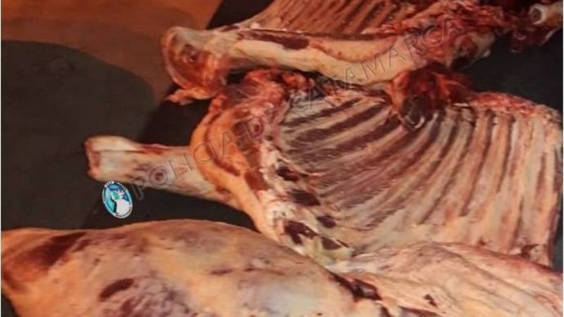 Joven llevaba en una camioneta 130 kilos de carne