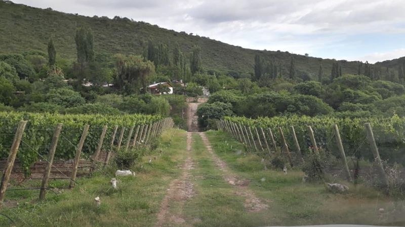 Le desvalijaron la casa