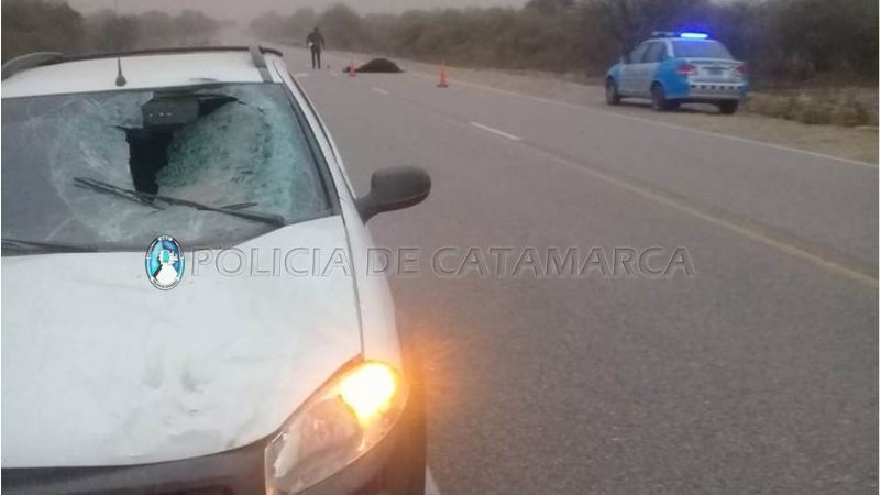 Dos mujeres heridas tras chocar con un animal en la ruta 40
