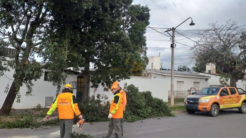 Se volaron techos y cayeron árboles por el fuerte viento