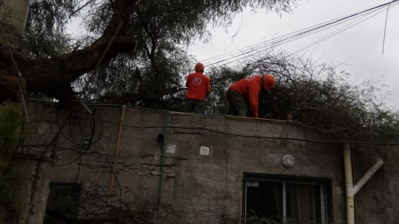 Se volaron techos y cayeron árboles por el fuerte viento