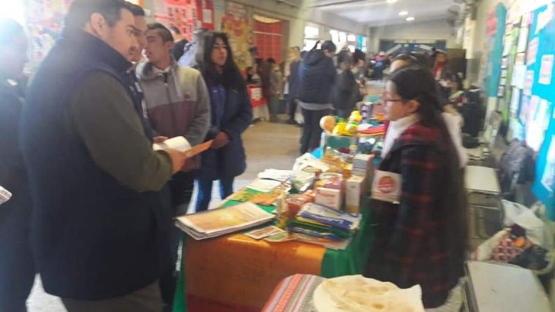 Feria de Ciencias 2019: proyectos a la instancia provincial