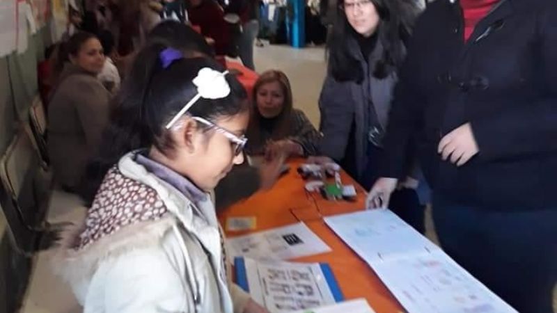 Feria de Ciencias 2019: proyectos a la instancia provincial