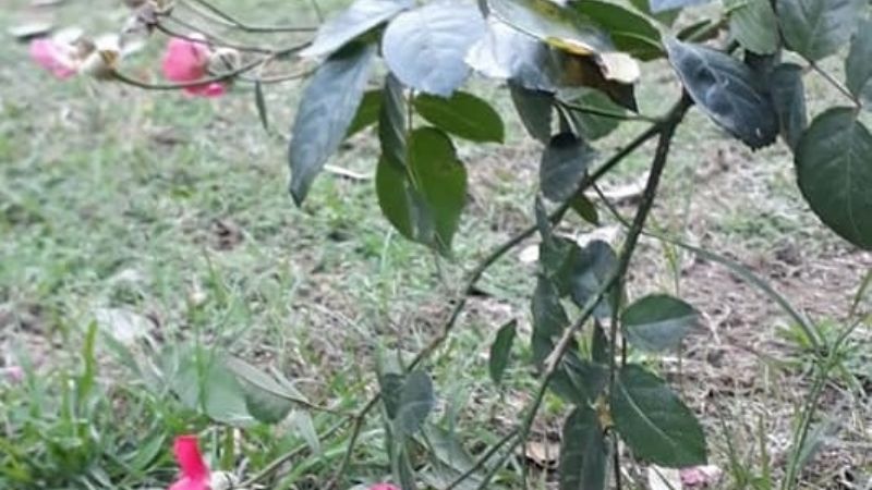 Foto de campaña de Juntos por el Cambio desató indignación