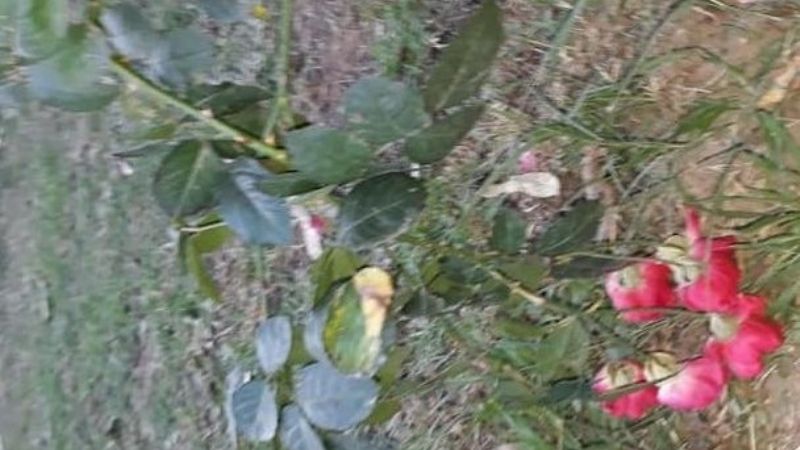 Foto de campaña de Juntos por el Cambio desató indignación