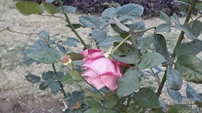 Foto de campaña de Juntos por el Cambio desató indignación