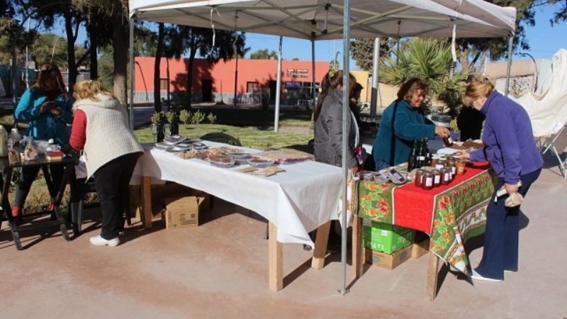 La muestra de ciencias se vive en Fiambalá
