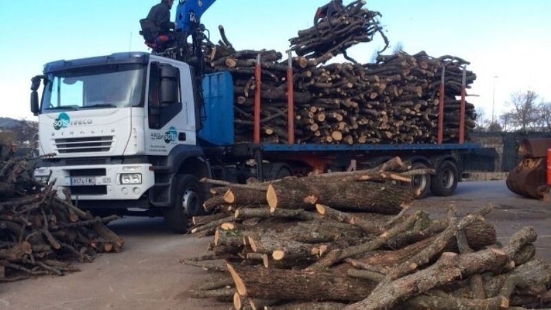 Nuevos valores de tasas y permisos en la Dirección de Bosques Nativos