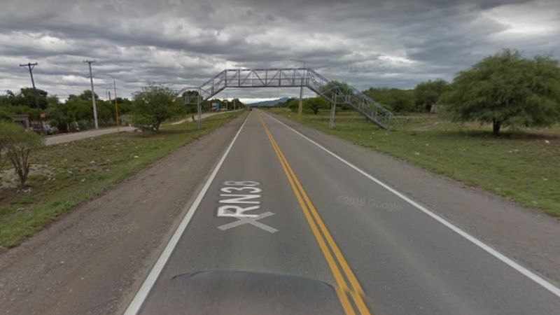 Otro accidente por un animal suelto en la ruta