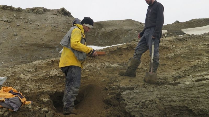 Descubren un reptil gigante de la última época de los dinosaurios