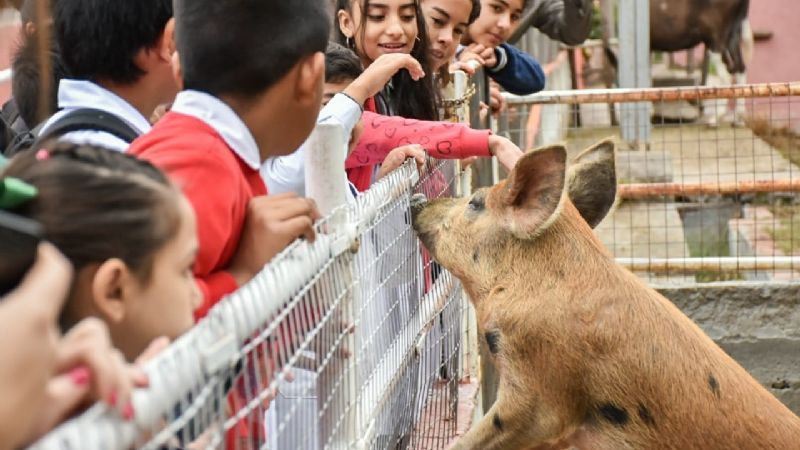 Más de 2 mil visitas a un mes de inaugurarse la Granja Educativa Municipal