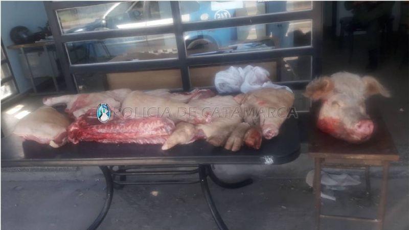 Secuestran carne porcina en un puesto caminero de Valle Viejo