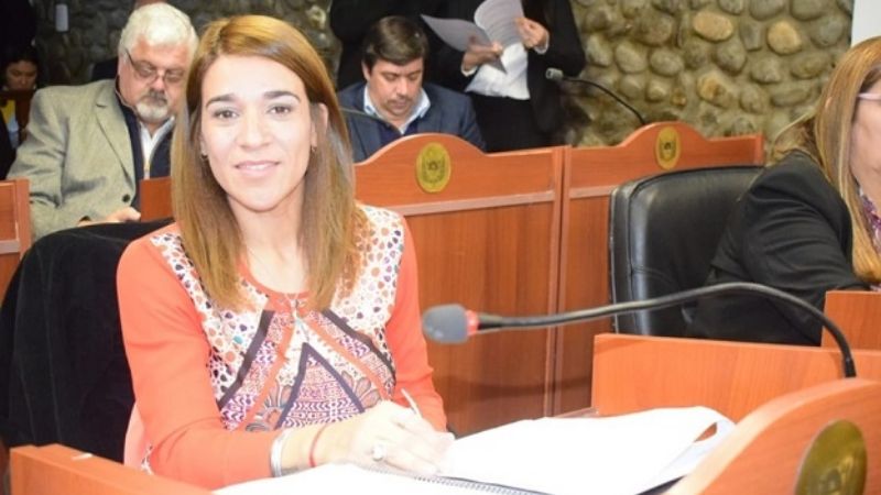 Ley de transición de gobierno