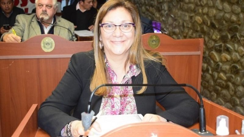 Buscan que sea obligatoria la realización de ecografías fetales