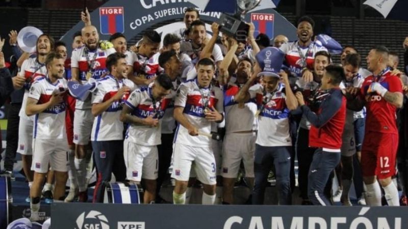 Tras el descenso de Tigre, se definió quién jugará la Copa Sudamericana