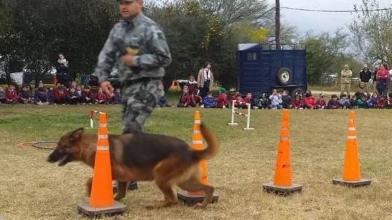 Alumnos visitaron la División Canes de la Policía de la Provincia