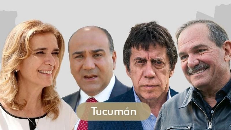 Cuatro provincias eligen gobernador y PASO en Mendoza